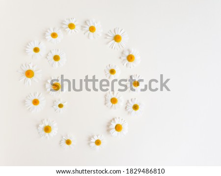 Round flower frame or border of camomiles on light ivory background. Top view, copy space. Empty space for a text or beauty product. Floral flat lay