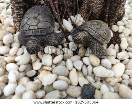 2 little turtle statues to decorate the garden