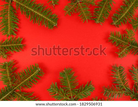 Christmas flat lay with fir tree branches frame on a red background and copy space inside. Stock photo.