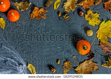 Halloween background flat lay. Top view of a dark stone background with cobwebs and decorative spiders, autumn dry leaves, orange pumpkins, acorns. Top view, copy space