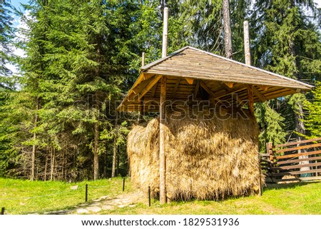 Houses of the ancient peoples of the Carpathians