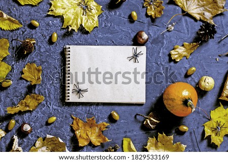 Halloween background copy space. A notebook with dark sheets for writing on a dark stone table surrounded by fallen leaves, cobwebs, spiders, pumpkins, acorns. Top view copy space flat lay