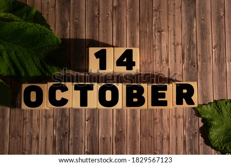 October 14.October 14 on wooden cubes on a wooden background.Autumn.Calendar for October.