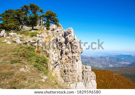 Bosnian pines on top of Serra di Crispo mountain (Garden of Gods),  Pollino National Park, southern Apennine Mountains, Italy. Royalty-Free Stock Photo #1829596580