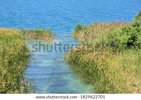 water and grass, lake Bacina near the Neretva delta, Croatia