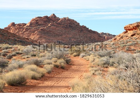 Hiking trail in the Mojave desert, Red Cliffs National Conservation Area Royalty-Free Stock Photo #1829631053