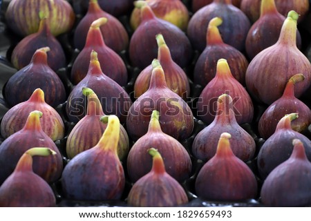 Colorful figs in line or pattern, on daylight. Selective focus.