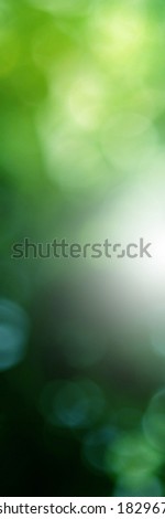 Green light leaves blurred and blur natural abstract. Effect sunlight  soft bright shiny style  bokeh circle yellow and orange blurry morning . For wallpaper backdrop and background.

