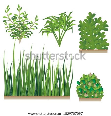 Realistic Green Grasses and Bushes