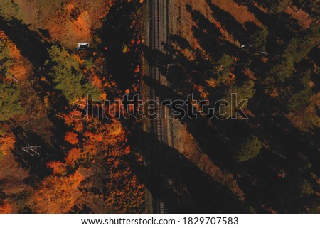 abandoned forest road in autumn forest