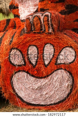 Tiger's paw, Made from straw in the zoo.