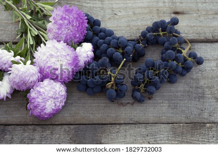 blue grapes and a bouquet of asters on a gray wooden background. autumn card.