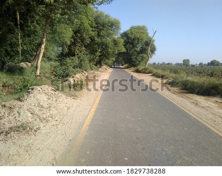 Beautiful trees along the road with blue sky, Sky, Road, Green tree Stock Footage