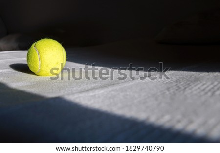 Tennis ball in the sunlight on the bed