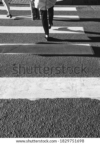 People crossing asphalt road on pedestrian zebra on sunny day