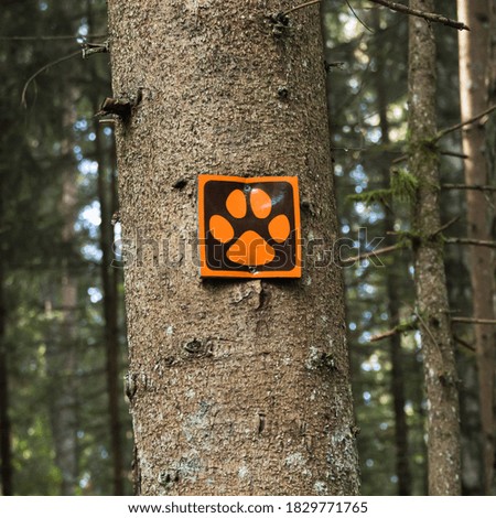 Animal paw sign on a tree. Picture taken in Ligatnes nature trails. Sign symbolizes that animals are near by..