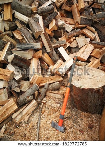 Picture of fir firewood and head