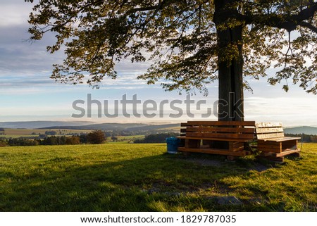 autumn atmosphere at the famous lime tree called "Reuther Linde" in Reuth Vogtland, saxony