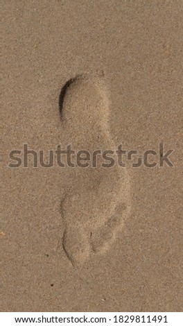 
footprint of a human bare foot in the sand