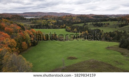 The fields of the countryside in autumn