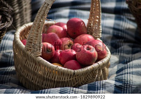 Closeup of organic red apple in a  wooden basket on blue napkin background