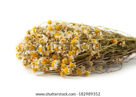 Dried chamomile on white background