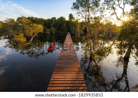 Travel Kayaking, Women Paddling Transparent Canoe Kayak in peat swamp forest wetlands in morning sunrise, Rayong botanic garden, 
