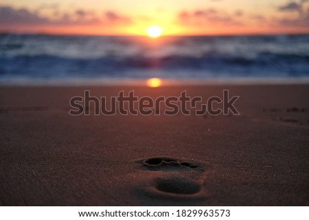 The human footprint on the sandy beach gleaming under the sunset