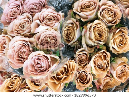 A huge bouquet of  roses. orange roses background

