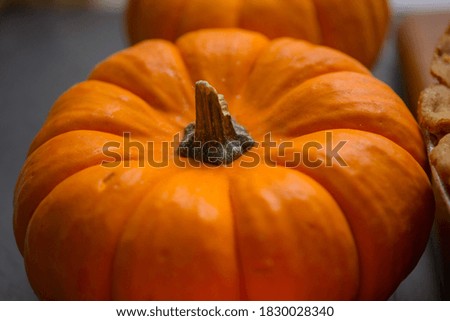 A group of orange mini pumpkins and pumpkin pie on wood board.