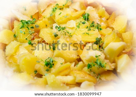 Potato gratin or potato kugel. A bake with cheese, basil and potatoes close up view textured surface.