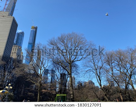 High Buildings and Trees in New York
