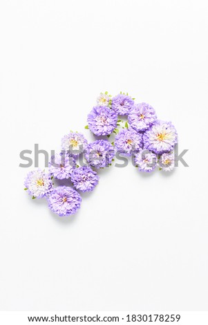 holiday concept. minimalistic pattern of fresh purple color flowers on a white background. flat lay, top view.