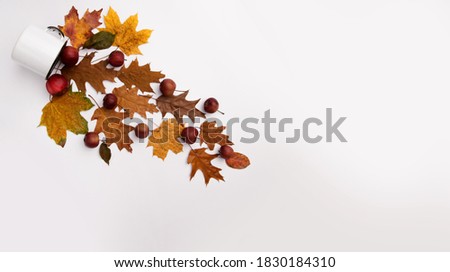 autumn composition with a mug of yellow leaves and red apples on the white background .top view
