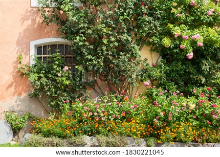 Plants and flowers decorating the exterior of a historic building
