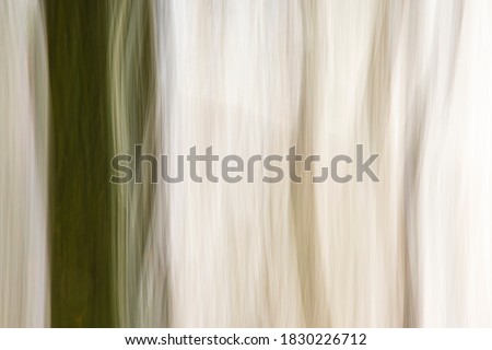 Abstract wood trees background. Camera low shutter punning shot