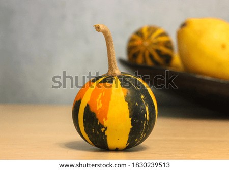 Decorative little orange-green pumpkins on a white background, autumn harvest in anticipation of Halloween
