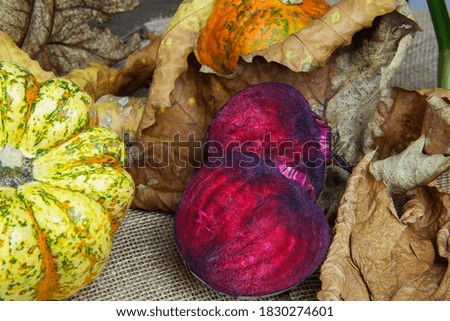 Closeup of autumn root vegetable for healthy nutrition in cold season with pumpkins, red beetroot halves and foliage leaves (focus on beetroot in center) 