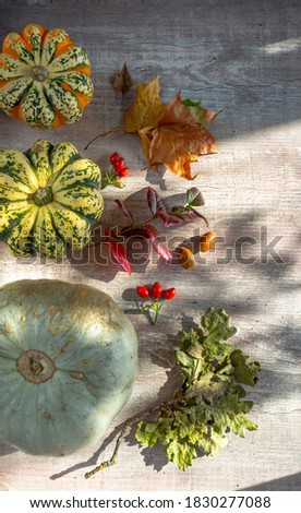 autumn decor, pumpkins, red berries foliage garlic on white wooden background. Concept of Happy Thanksgiving day or Halloween. Mockup for seasonal offers and holiday post card. Flat lay autumn com