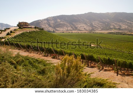 View from the Santa Cruz vineyard in Santa Cruz valley Chile Royalty-Free Stock Photo #183034385