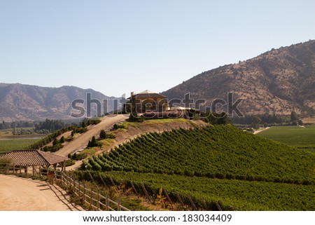 View from the Santa Cruz vineyard in Santa Cruz valley Chile Royalty-Free Stock Photo #183034409