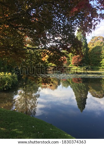 Autumn colours in Sheffield Park, England