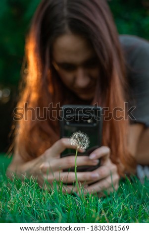 dandelion at the garden being photographed by women with her phone