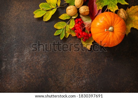 Seasonal concept background. Autumn background with autumn maple leaves, pumpkin, nuts and berries on a slate background. Top view flat lay background with copy space.
