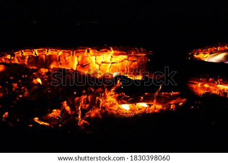 burning firewood in the fireplace
