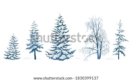 Realistic vector illustration of a spruce tree in the snow on a white background. Green fluffy pine isolated on a white background. Winter snow-covered trees. Elements for the Christmas scene.