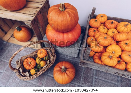 Many orange and white pumpkins in a basket at the street. Halloween concept.