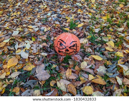 halloween pumpkin on a background of colored autumn leaves in the forest