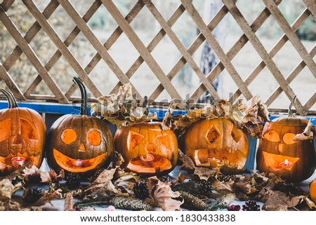 collection of autumn pumpkins for halloween in a row with different faces, banner design
