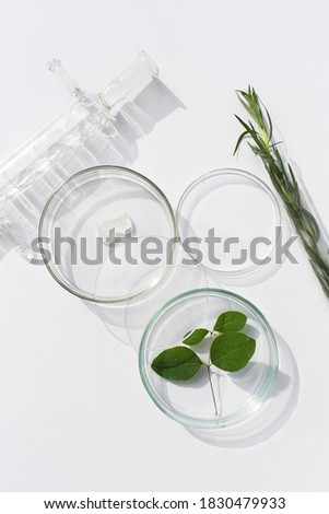 Natural medicine, cosmetic research, bio science, organic skin care products. Top view, flat lay. Concept skincare. Dermatology Royalty-Free Stock Photo #1830479933